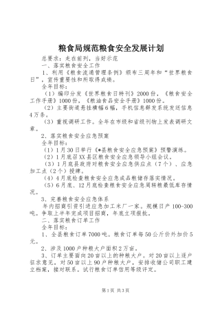 粮食局规范粮食安全发展计划