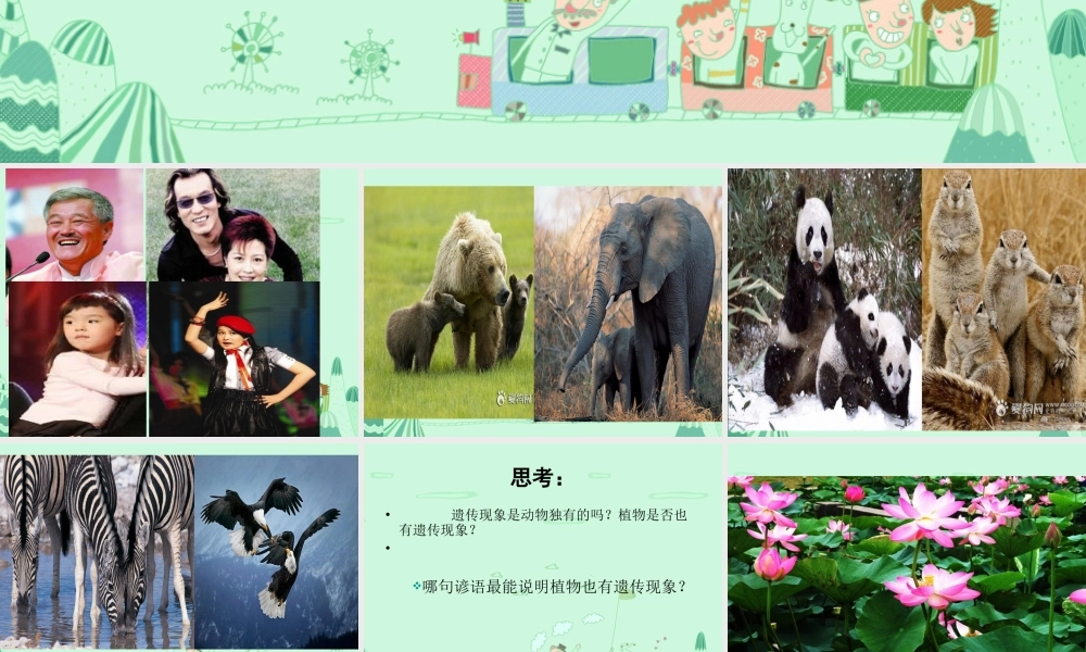 生物的遗传现象