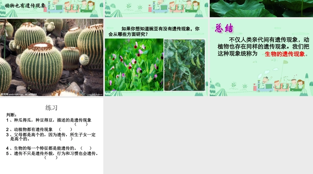 生物的遗传现象