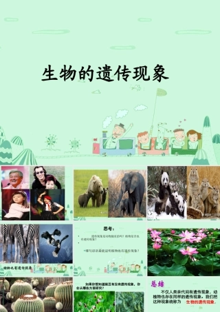 生物的遗传现象