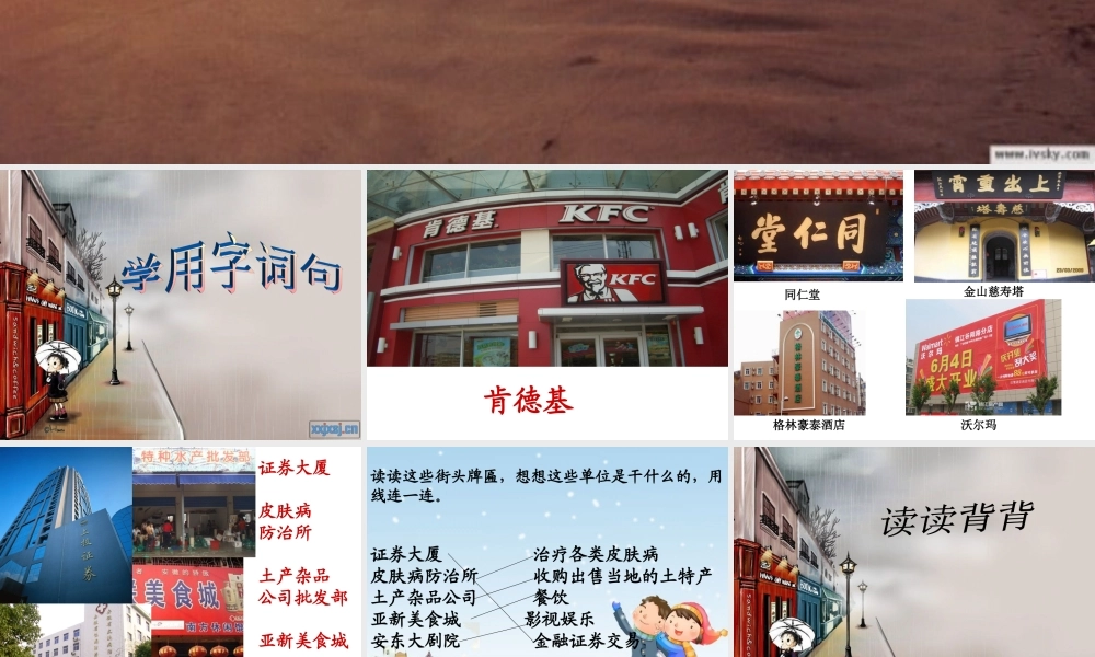 苏教版小学语文第四册练习3课件