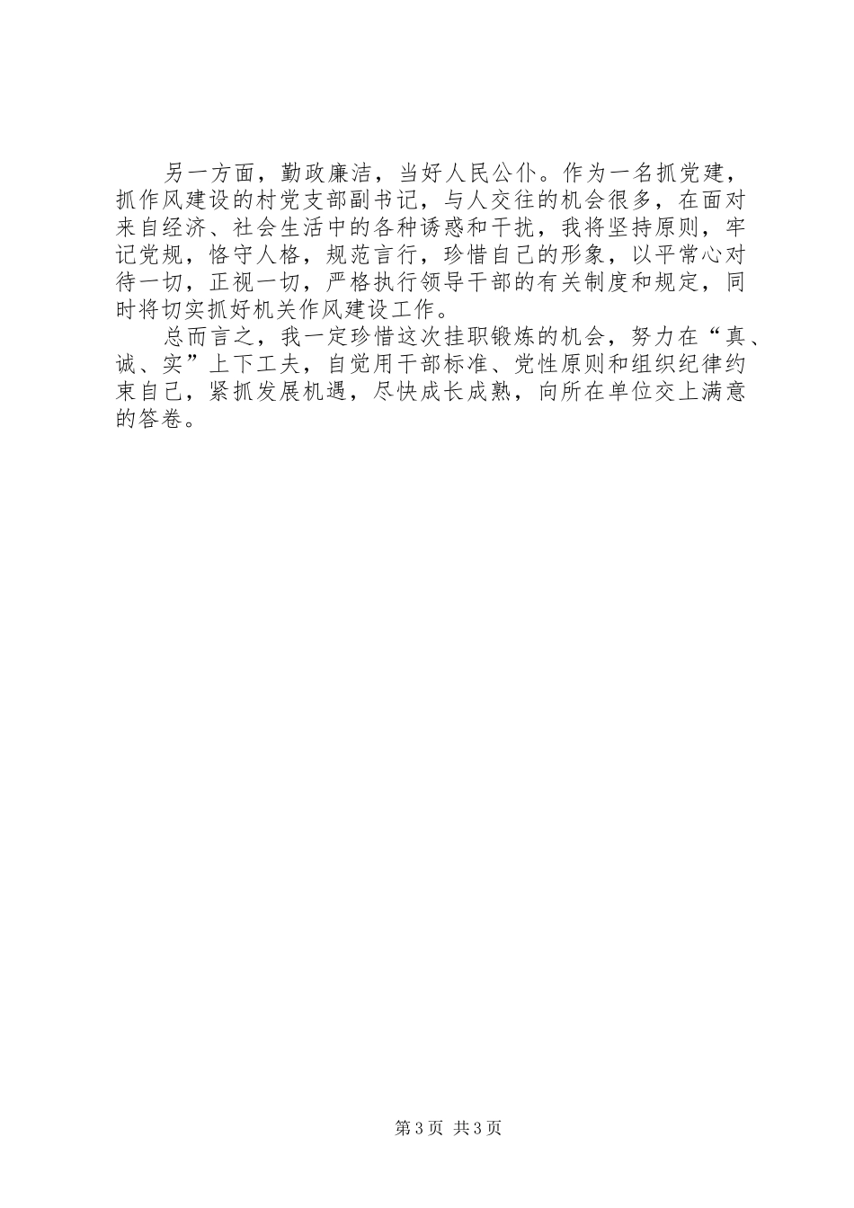 挂职干部个人工作计划_第3页