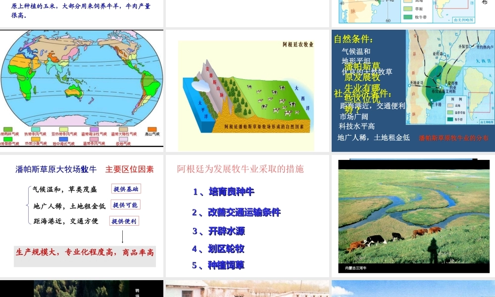 《以畜牧业为主的农业地域类型》PPT课件(上课)