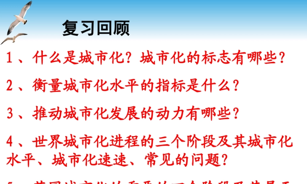 城市化第二课时