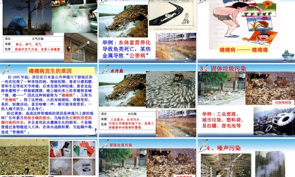 城市化第二课时