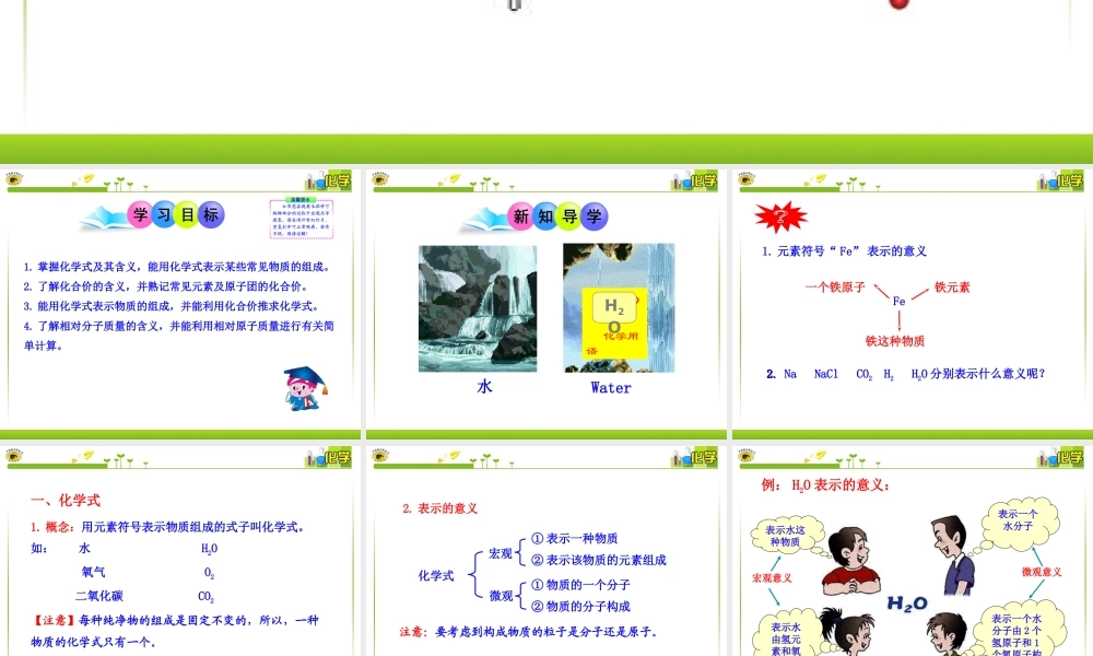 化学式与化合价(1)