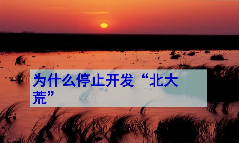 问题研究为什么停止开发北大荒MicrosoftPowerPoint演示文稿