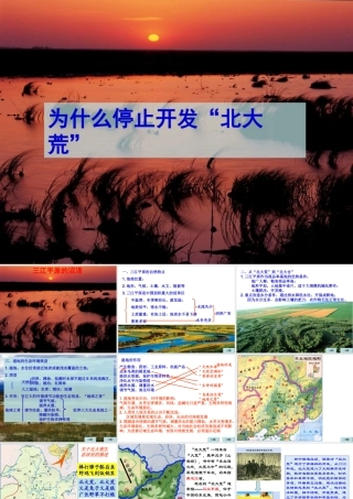 问题研究为什么停止开发北大荒MicrosoftPowerPoint演示文稿