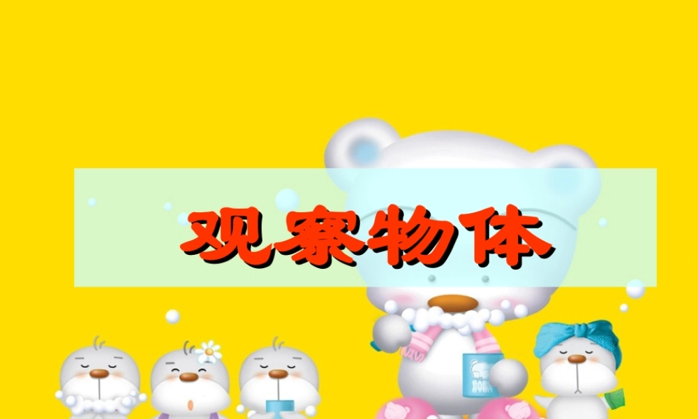 四年级数学《观察物体》课件 (2)