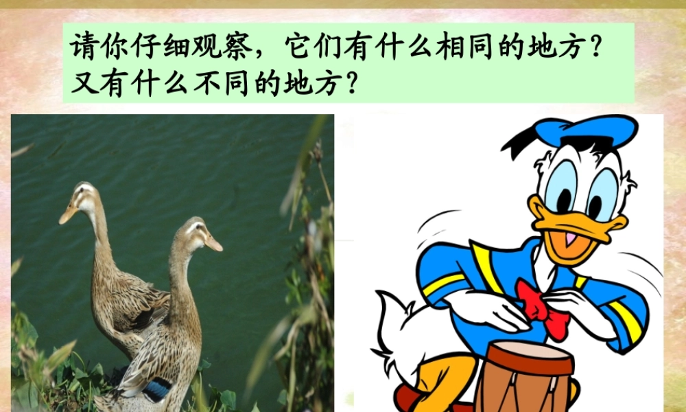 人教版四年级上册第三单元习作