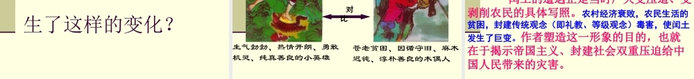 《故乡》课件12