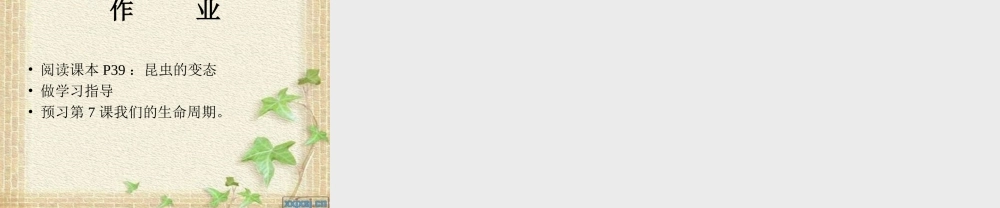 《其他动物的生命周期》(三下科学)
