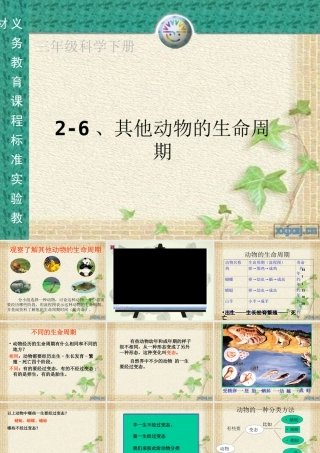 《其他动物的生命周期》(三下科学)