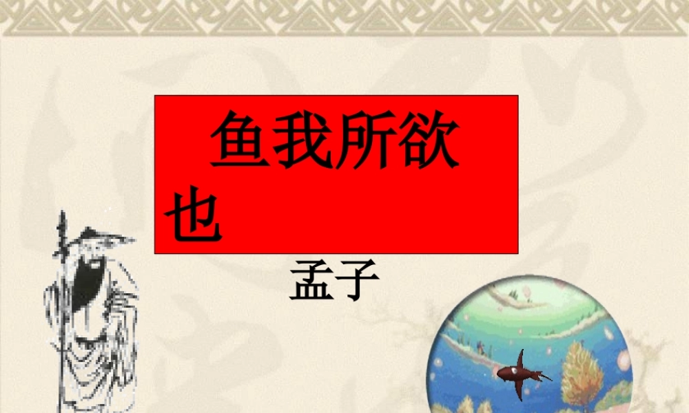 鱼我所欲也展示