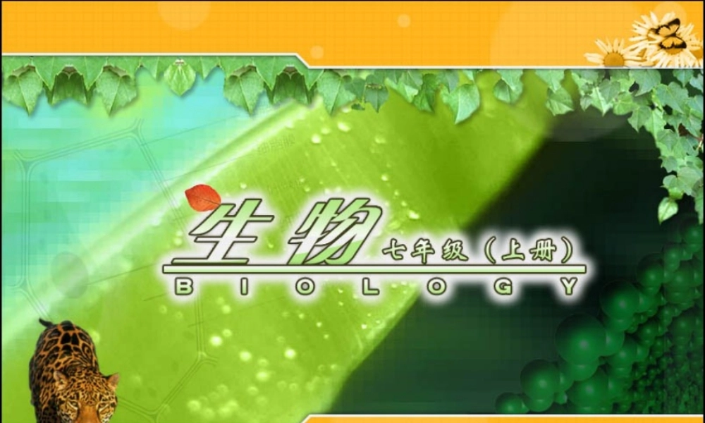 初一生物上册PPT复习课件