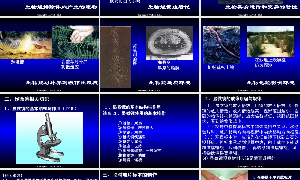 初一生物上册PPT复习课件