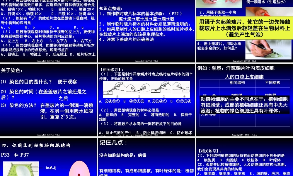 初一生物上册PPT复习课件