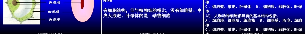 初一生物上册PPT复习课件