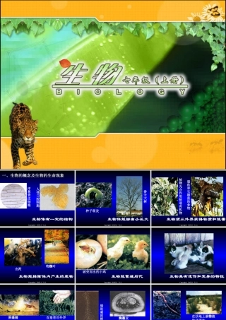 初一生物上册PPT复习课件