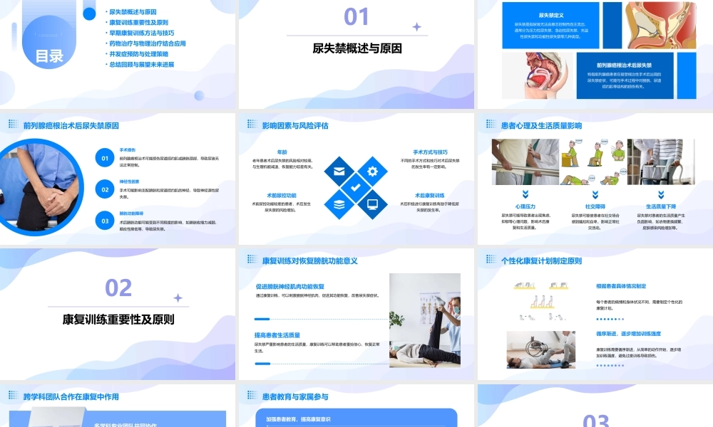 前列腺癌根治术后尿失禁的康复训练