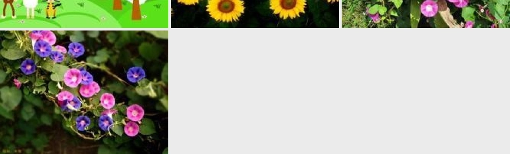 我们播种春天课件