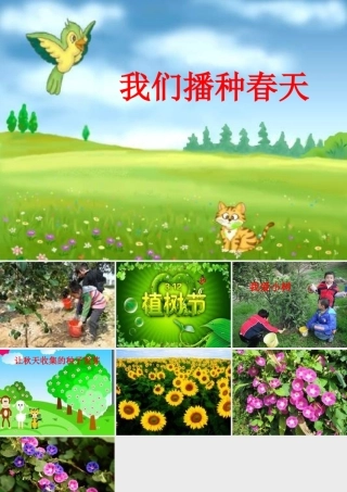 我们播种春天课件