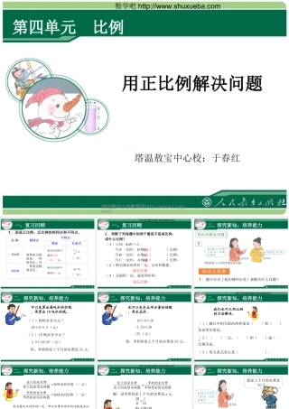 用正比例解决问题 (2)