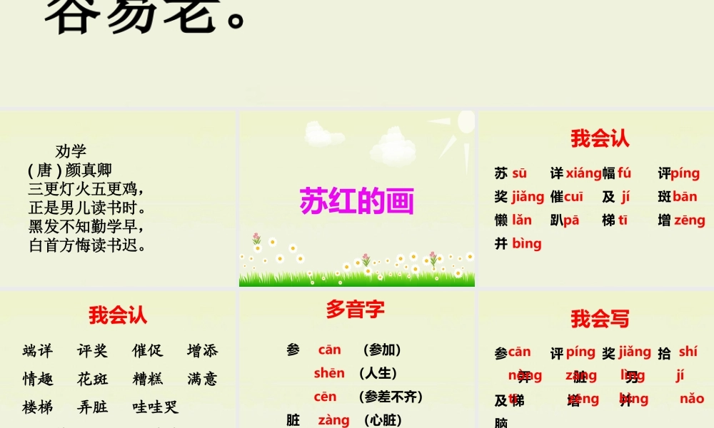 《苏红的画》教学课件（课文讲解） (2)