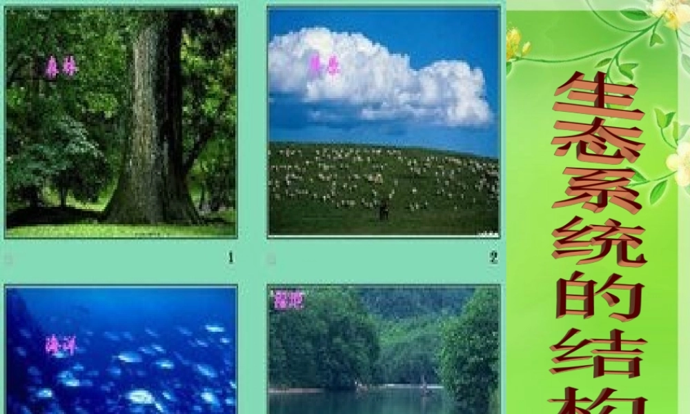 必修三51生态系统的结构 (2)