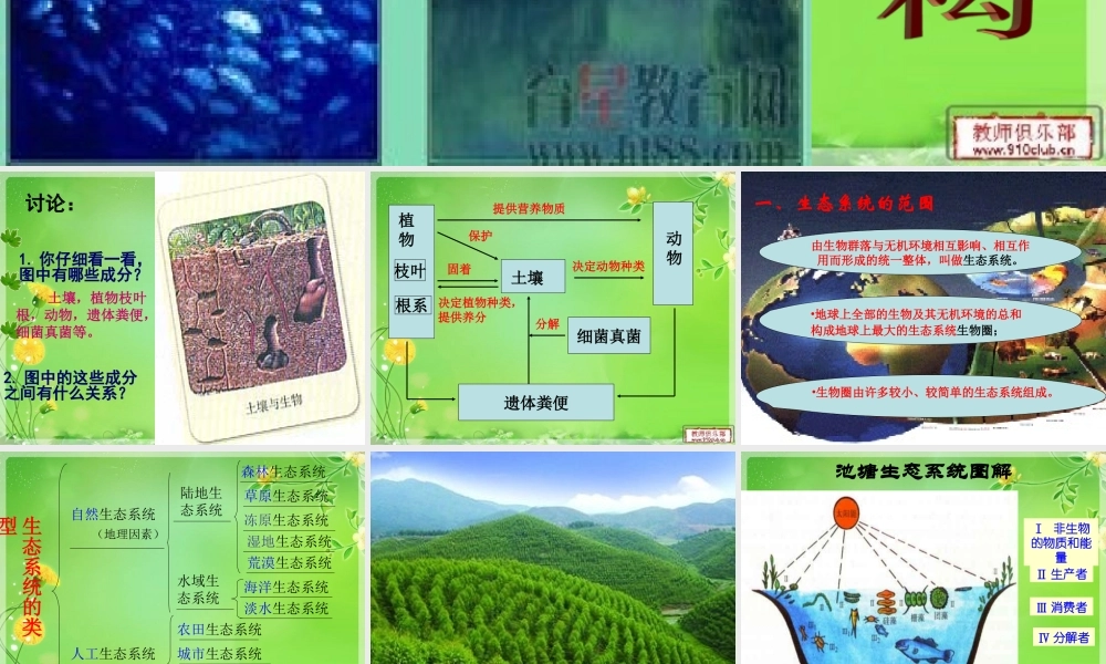 必修三51生态系统的结构 (2)