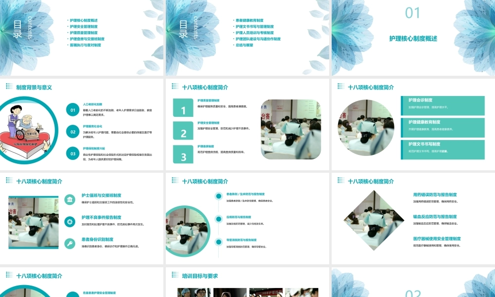十八项核心制度培训护理课件