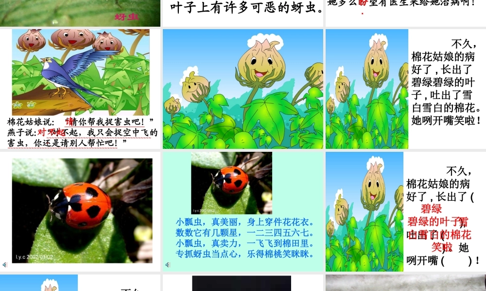 汪艳课件棉花姑娘（331）