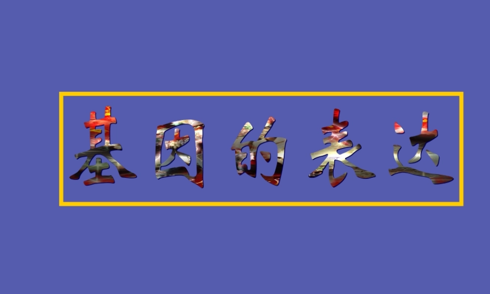 高中生物基因表达__课件