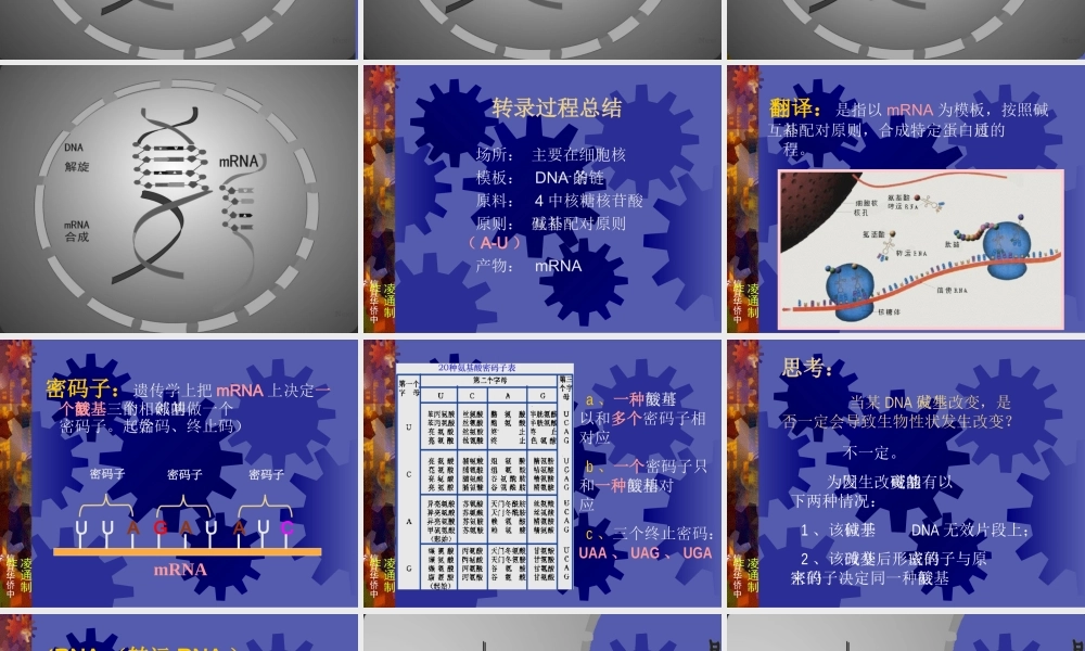 高中生物基因表达__课件