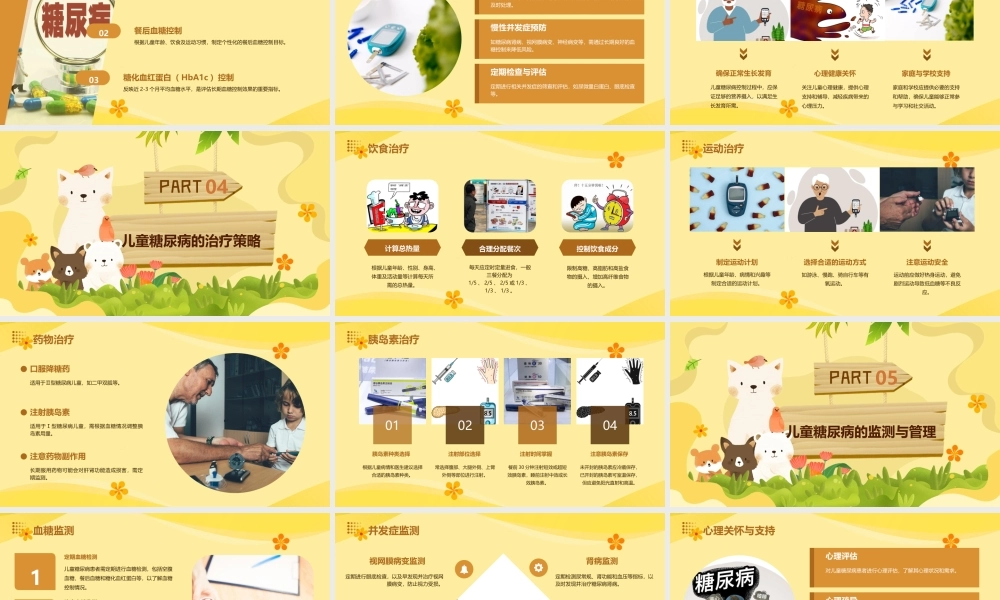儿童糖尿病的诊断与控制