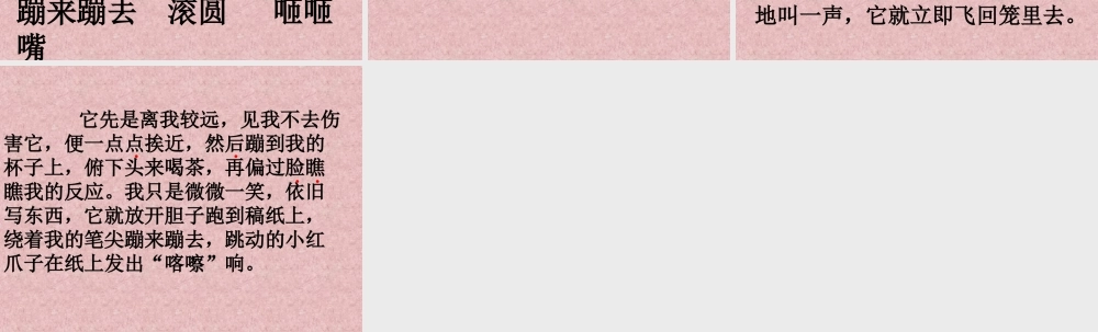 珍珠鸟演示文稿1