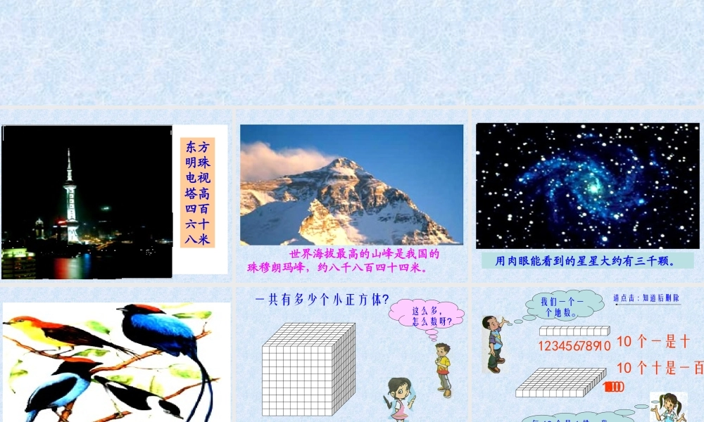数一数课件（北师大版二年级数学课件）