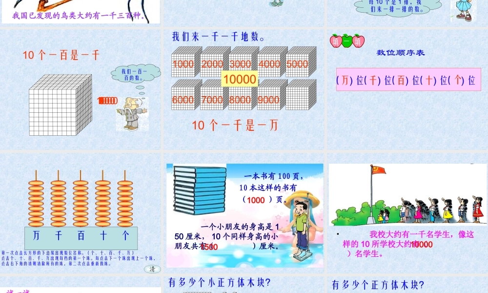 数一数课件（北师大版二年级数学课件）