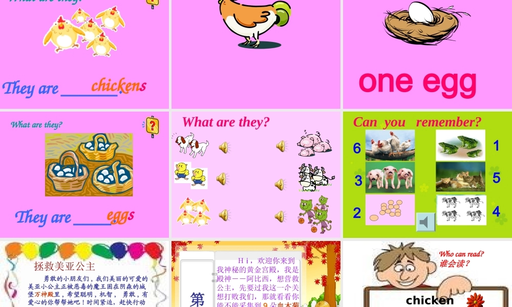 一年级下册They're_cows课件(1)