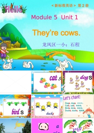 一年级下册They're_cows课件(1)