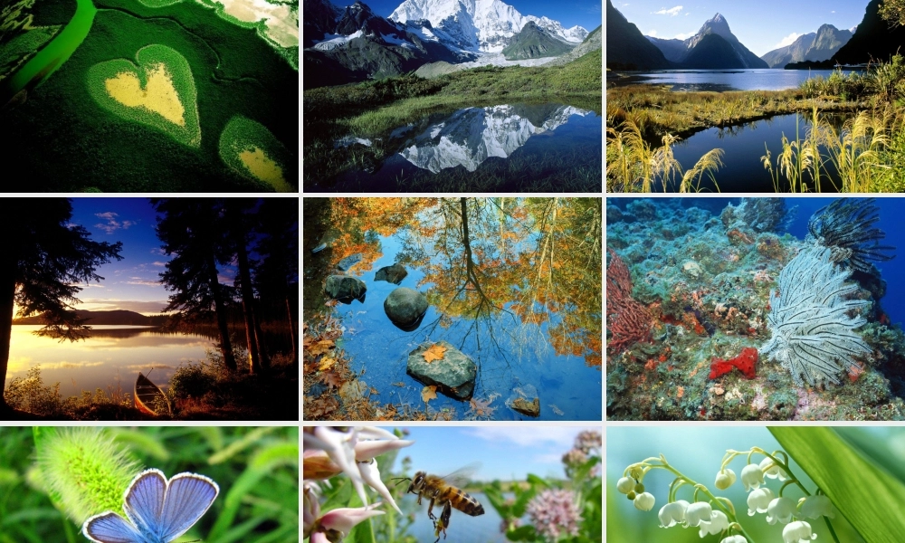 课件-只有一个地球