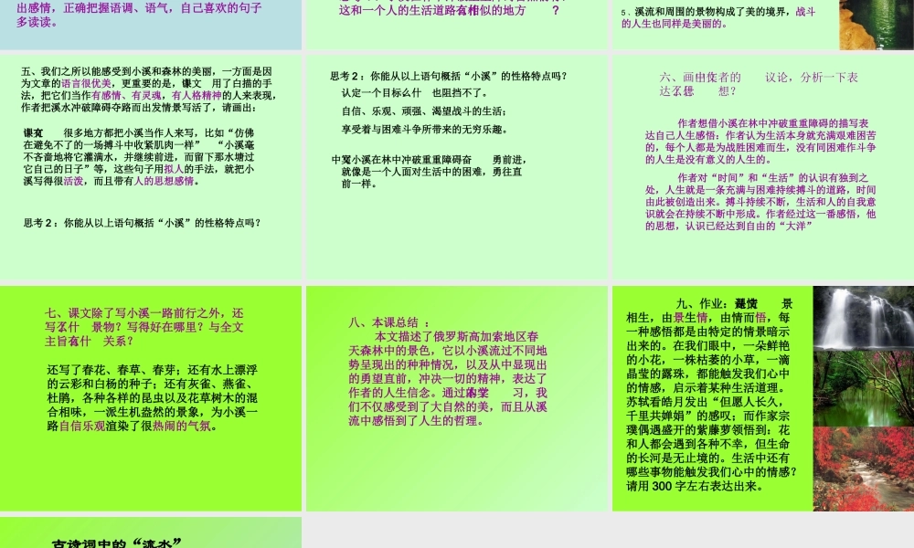 林中小溪 (2)