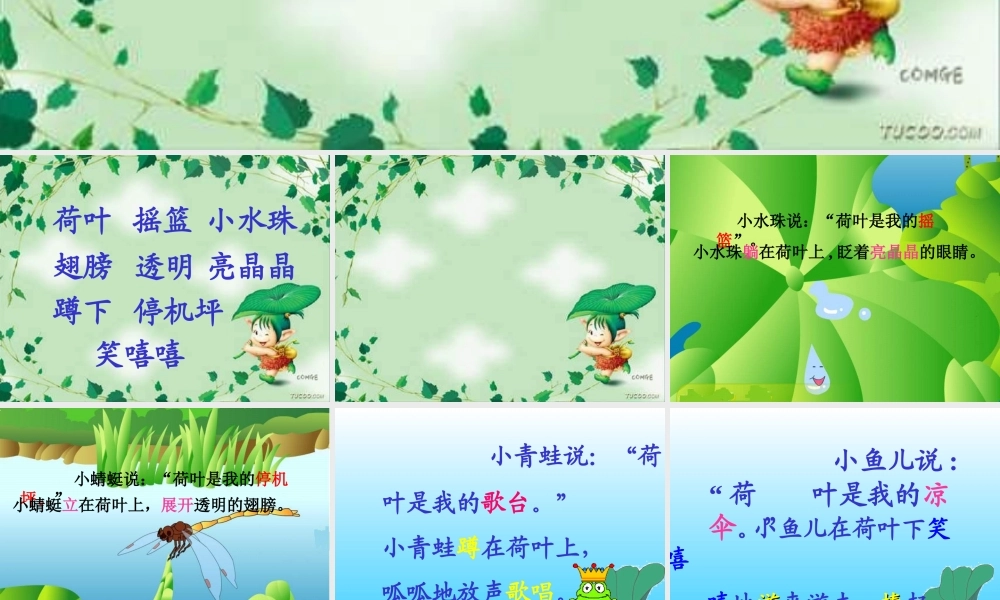 人教版小学一年级语文荷叶圆圆课件