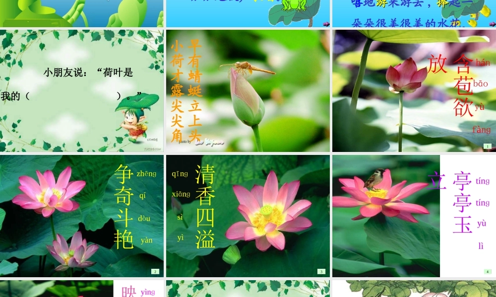 人教版小学一年级语文荷叶圆圆课件