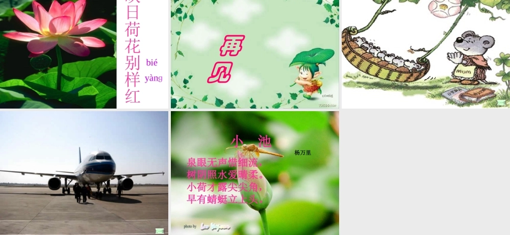 人教版小学一年级语文荷叶圆圆课件