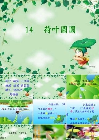 人教版小学一年级语文荷叶圆圆课件