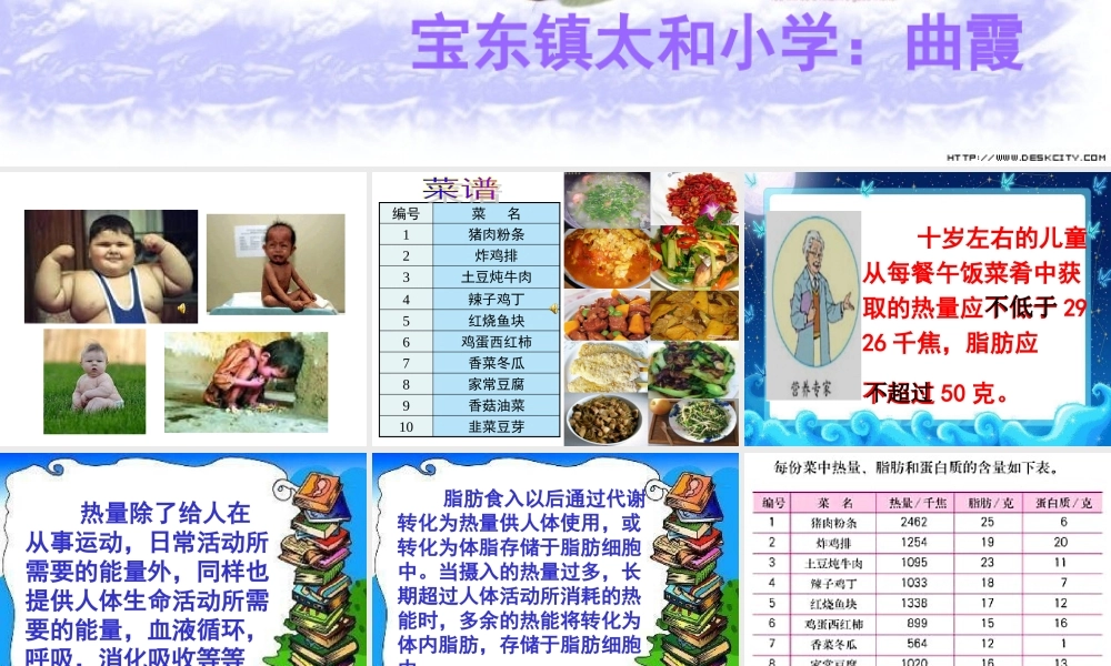 《营养午餐》课件