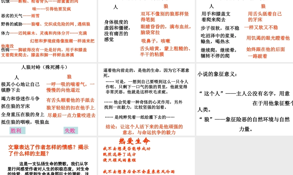 《热爱生命》PPT课件