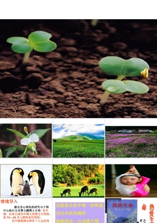 《热爱生命》PPT课件