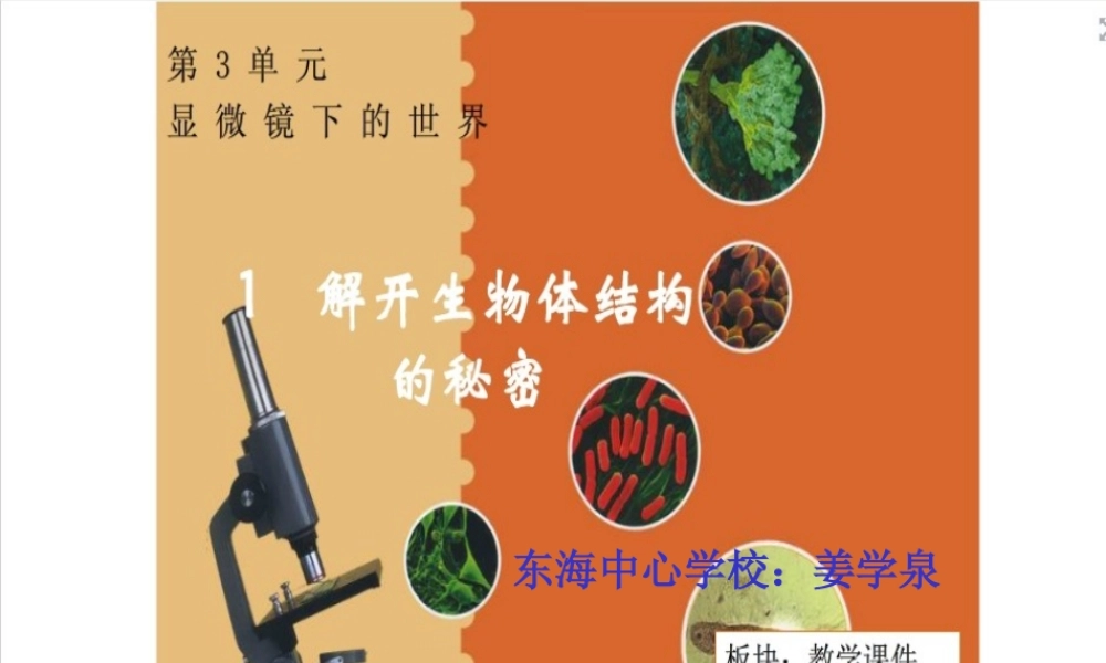 解开生物体结构的秘密 (2)